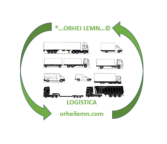Logistics Orhei Lemn